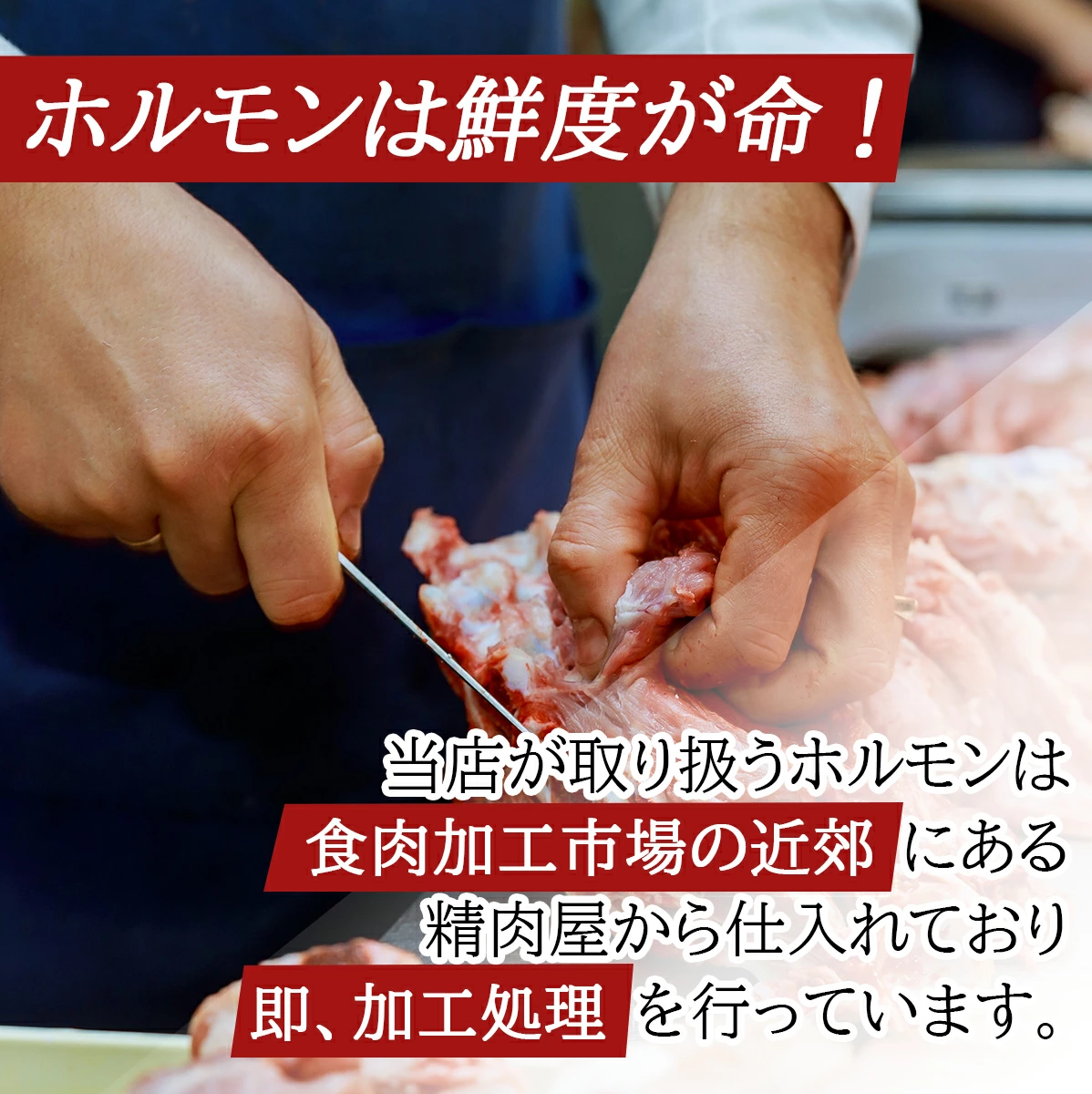 ホルモン
