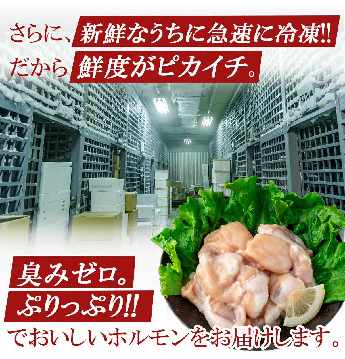 ホルモン