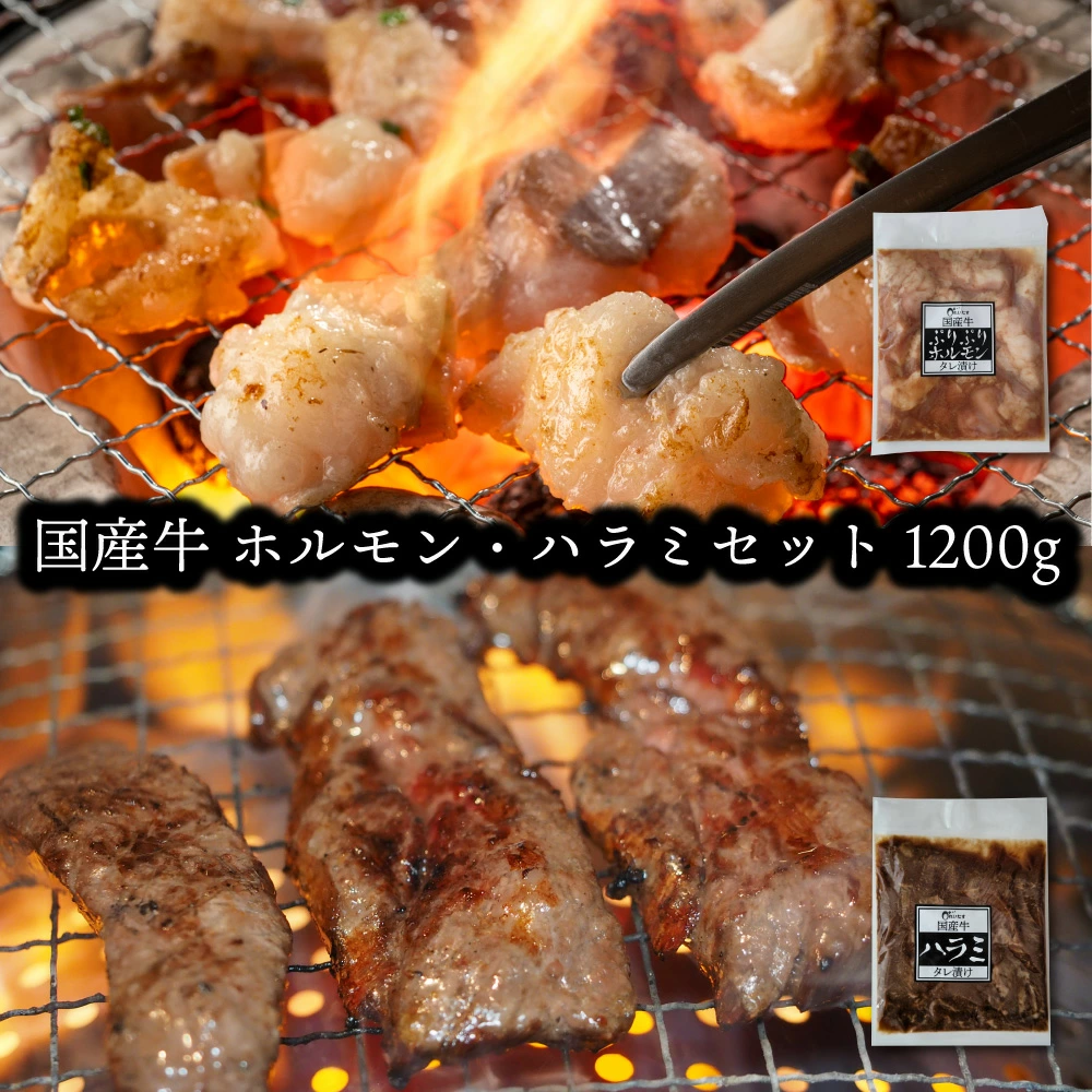 ホルモン