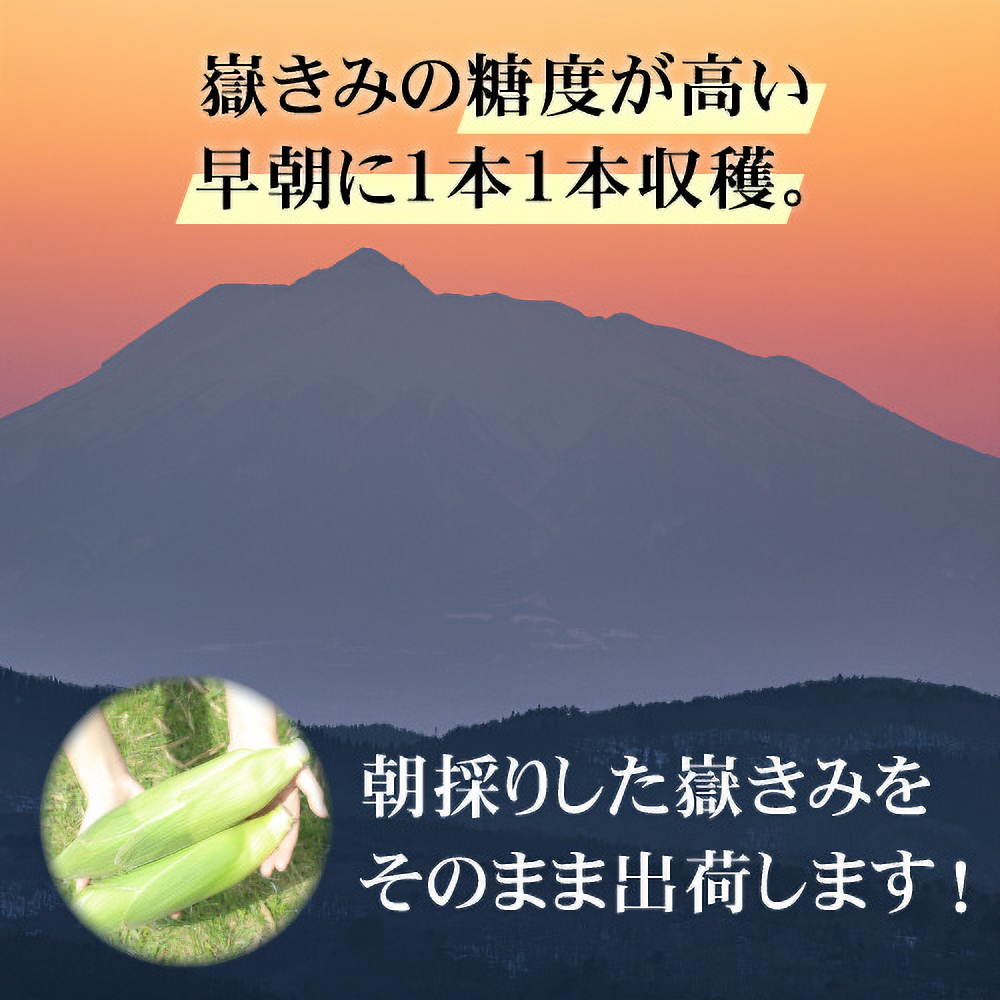 岩木山麓の嶽高原で育つ嶽きみ